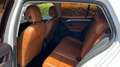 Volkswagen Golf VOLKSWAGEN GOLF 1.6 TDI 105 CV DSG EDITION Blanco - thumbnail 9