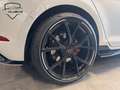 Volkswagen Golf GTI 2.0 TSI Performance Full Option/Akra/Stage2/373PK/ Wit - thumbnail 15