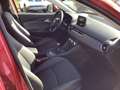 Mazda CX-3 Sports-Line Rot - thumbnail 15