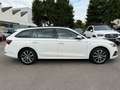 Skoda Octavia Combi Clever Weiß - thumbnail 4