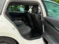 Skoda Octavia Combi Clever Weiß - thumbnail 16