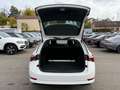 Skoda Octavia Combi Clever Weiß - thumbnail 18