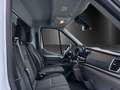 Ford Transit L4 Einzelkabine Koffer GJR Ladebordwand Weiß - thumbnail 11