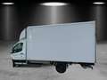 Ford Transit L4 Einzelkabine Koffer GJR Ladebordwand Weiß - thumbnail 2