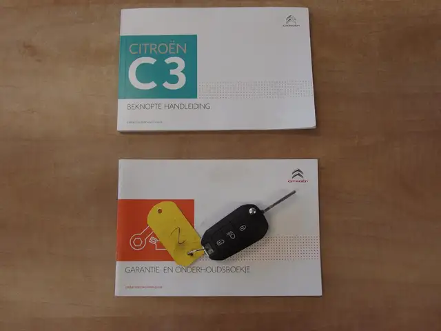 Citroen C3 view 29