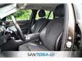Mercedes-Benz 250 d AMG KEYLESS*LED*LEDER*PDC*MULTI-LENKRAD*TEMPOMAT Maro - thumbnail 12
