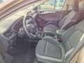 Ford Focus Focus Clipper Trend Business Edition  1.0 Ecoboos Beige - thumbnail 11