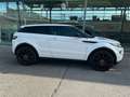 Land Rover Range Rover Evoque Range Rover Evoque Dynamic 2,2 SD4 Aut. Dynamic Weiß - thumbnail 2