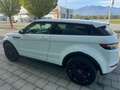 Land Rover Range Rover Evoque Range Rover Evoque Dynamic 2,2 SD4 Aut. Dynamic Weiß - thumbnail 6