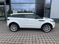 Land Rover Range Rover Evoque Range Rover Evoque Dynamic 2,2 SD4 Aut. Dynamic Weiß - thumbnail 1