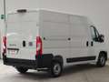 Fiat Ducato 35 2.2 Mjt 140CV PM-TM L2H2 Furgone Weiß - thumbnail 7