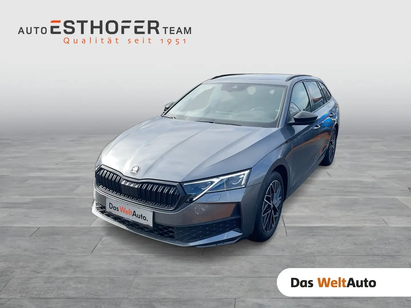 Skoda Octavia Sportline TDI DSG Grau - 1