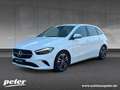 Mercedes-Benz B 220 4M Progressive/Advanced/LED/Kamera/DAB Weiß - thumbnail 1