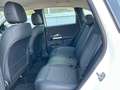 Mercedes-Benz B 220 4M Progressive/Advanced/LED/Kamera/DAB Weiß - thumbnail 14
