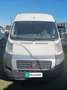 Fiat DUCATO 3.0 MJT 160 CV PASSOMEDIO/TETTOALTO E4 Wit - thumbnail 4