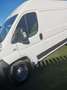 Fiat DUCATO 3.0 MJT 160 CV PASSOMEDIO/TETTOALTO E4 Wit - thumbnail 8