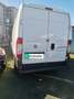 Fiat DUCATO 3.0 MJT 160 CV PASSOMEDIO/TETTOALTO E4 Wit - thumbnail 17
