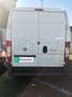 Fiat DUCATO 3.0 MJT 160 CV PASSOMEDIO/TETTOALTO E4 Wit - thumbnail 18