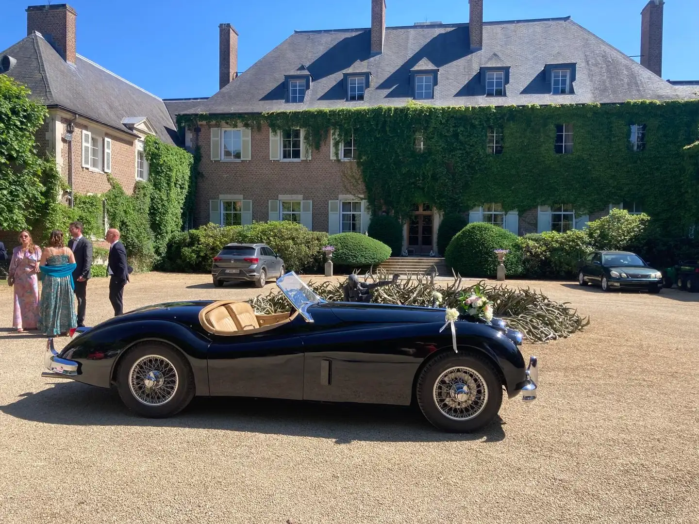 Jaguar XK 140 OTS - 1