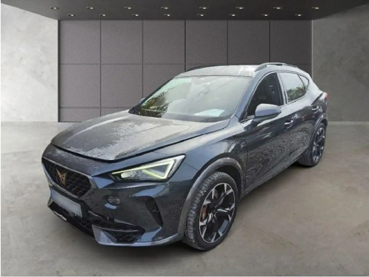 CUPRA Formentor VZ 2.0TSI 4Drive DSG Navi*RFK*Beats*Br Grau - 2