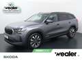 Skoda Kodiaq Business Edition 1.5 TSI PHEV 204 PK DSG | Automaa Grijs - thumbnail 1