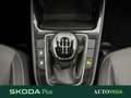 Skoda Fabia 1.0 mpi evo selection 80cv Grigio - thumbnail 14