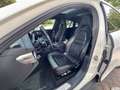 Porsche Panamera 4 S E-Hybrid Pano*Bose*Keyless*ACC*360° Weiß - thumbnail 7