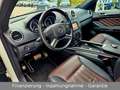 Mercedes-Benz GL 500 4Matic Grand Edition mit LPG 7-Sitzer!!! Alb - thumbnail 12