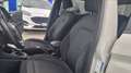 Ford Fiesta active 1.5 ecoblue 85cv my19.5 Blanc - thumbnail 15