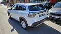 Suzuki S-Cross 1,4 Hybrid ALLGRIP shine Weiß - thumbnail 7