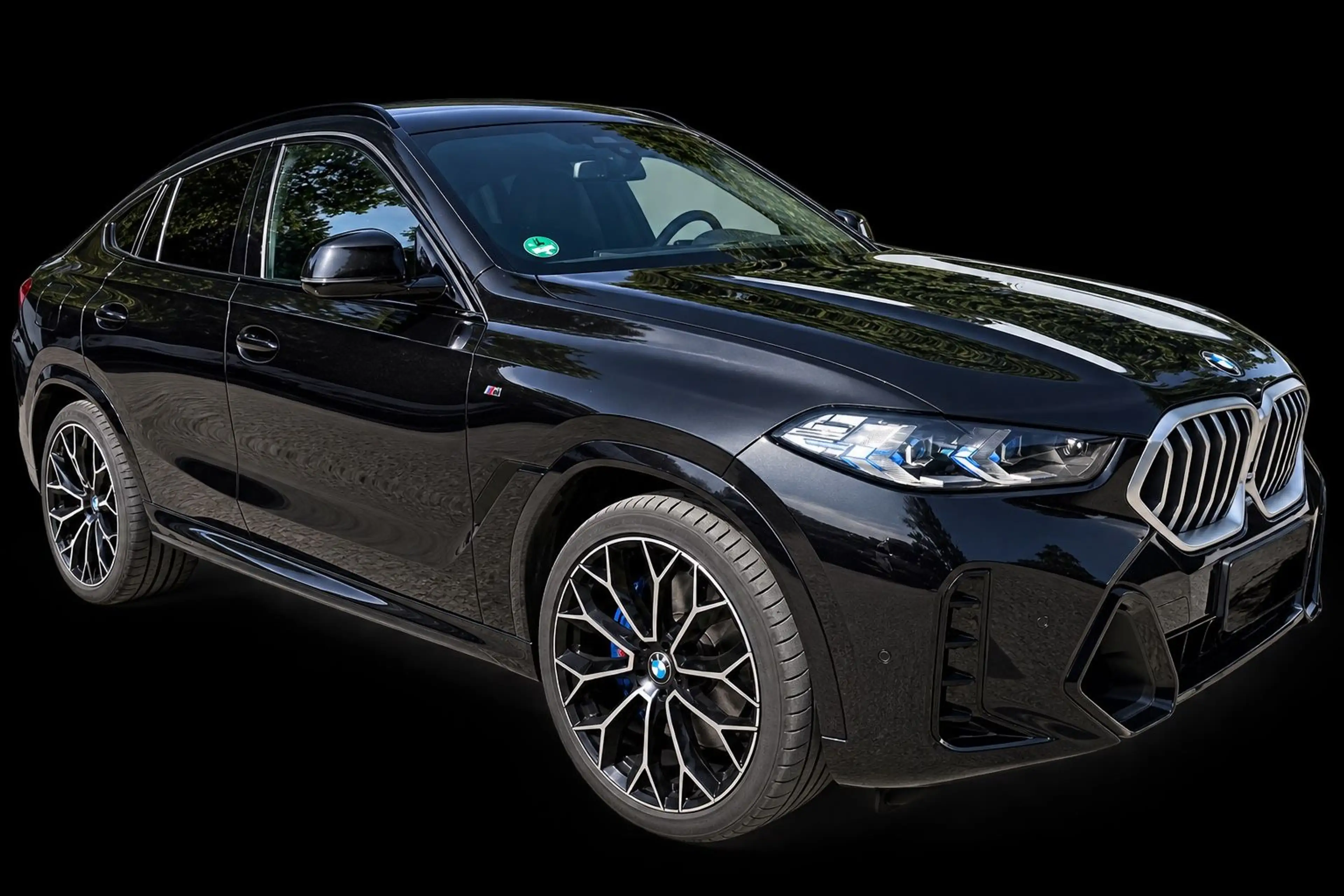 BMW X6 30 d xDrive M Sport,Panorama,Standheizung — photo 3