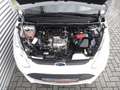 Ford B-Max 1.0 Ecoboost Gerne Finanzierung+++ Wit - thumbnail 12