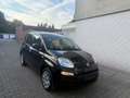 Fiat Panda Easy TÜV NEU*2.HAND*EFH Schwarz - thumbnail 3