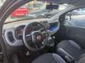 Fiat Panda Easy TÜV NEU*2.HAND*EFH Schwarz - thumbnail 9