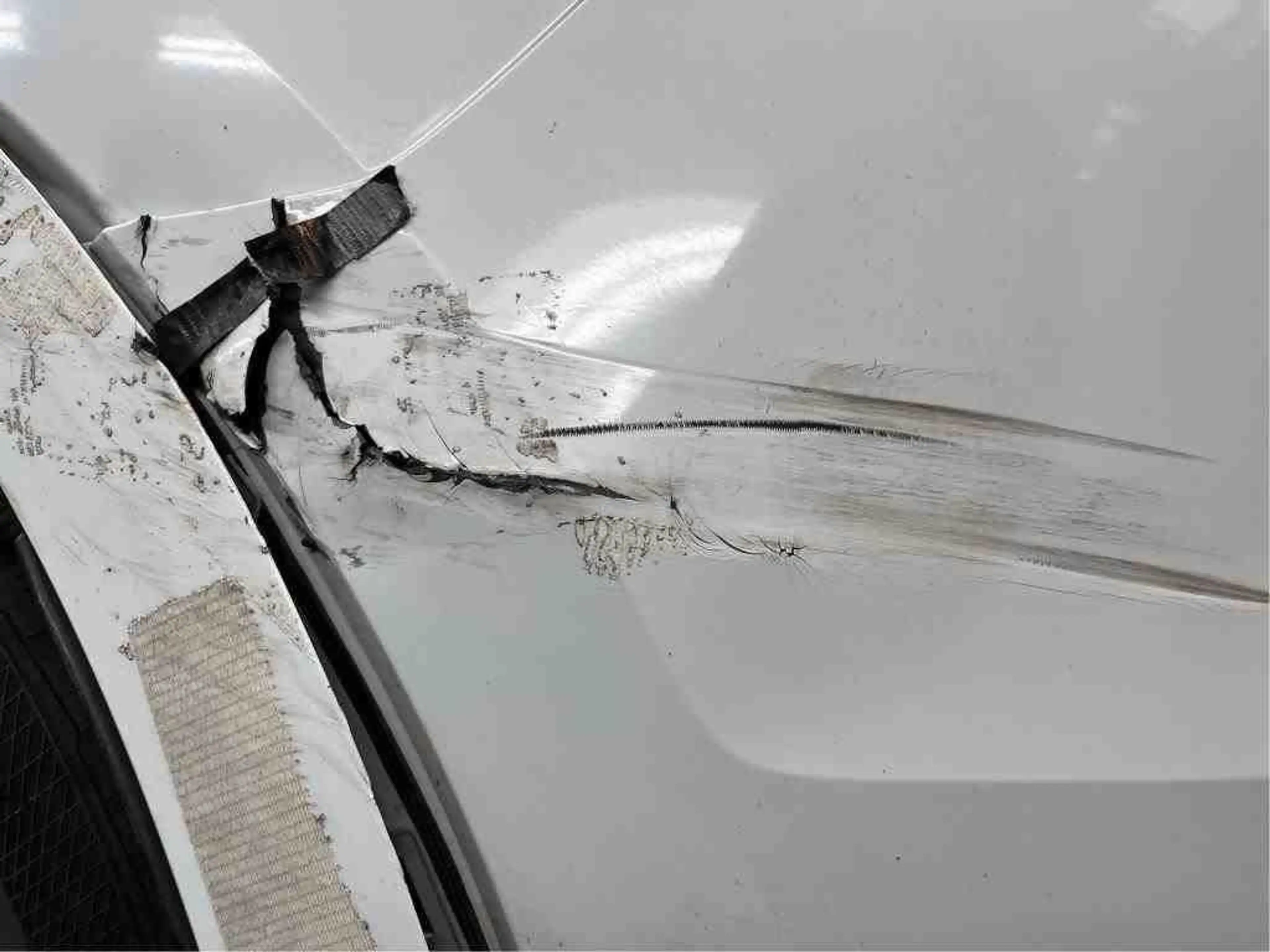 Audi Q8 50 TDI quattro S-Line*Panorama* — photo 7