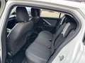 Opel Astra Edition Plug-in-Hybrid Weiß - thumbnail 13