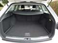 SEAT Leon ST 1.0 EcoTSI Style dealer onderhouden 6 mnd garan Blanc - thumbnail 22
