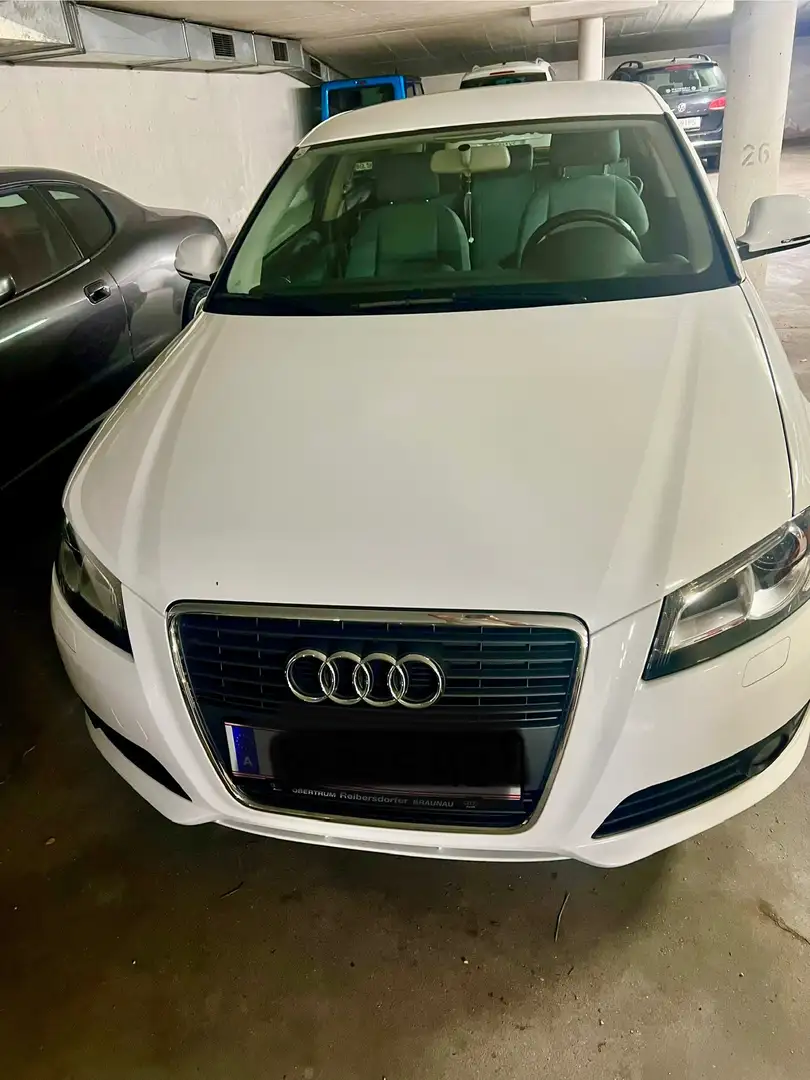 Audi A3 A3 1,6 Limited Edition Edition Weiß - 1