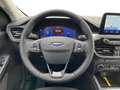 Ford Kuga III 2020 1.5 ecoboost Titanium Business 2wd 150cv Blau - thumbnail 12