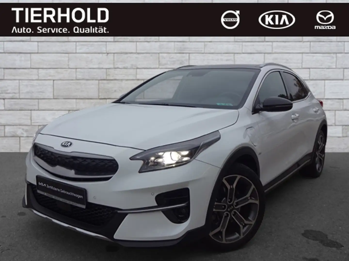 Kia XCeed 1,6 Platinum Plug-in PANO ACC BLIS LEDER Weiß - 2