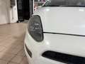 Fiat Punto Punto III 2012 5p 1.4 natural power Easy 70cv Bianco - thumbnail 7