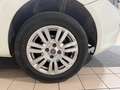Fiat Punto Punto III 2012 5p 1.4 natural power Easy 70cv Bianco - thumbnail 9