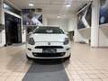 Fiat Punto Punto III 2012 5p 1.4 natural power Easy 70cv Bianco - thumbnail 8