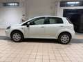 Fiat Punto Punto III 2012 5p 1.4 natural power Easy 70cv Bianco - thumbnail 6