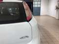 Fiat Punto Punto III 2012 5p 1.4 natural power Easy 70cv Bianco - thumbnail 4