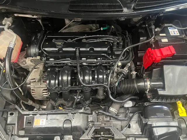 Ford Fiesta view 29