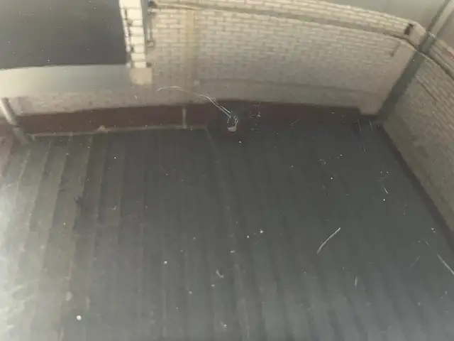 Ford Fiesta view 11