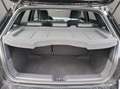 SEAT Ibiza Xcellence 1.0 TSI 70 kW 95 PS 5-Gang Schwarz - thumbnail 19