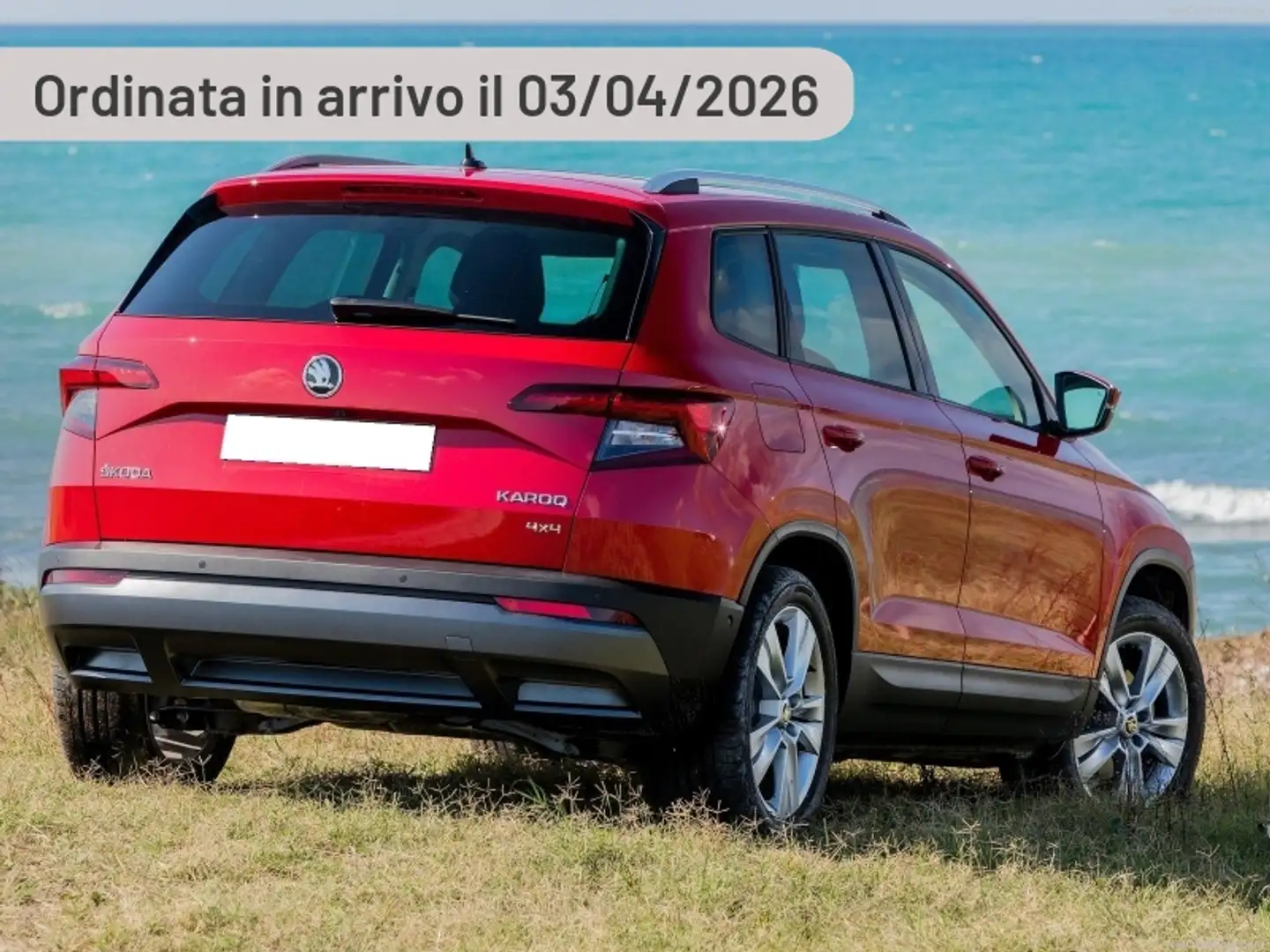 Skoda Karoq 2.0 TDI SCR 4x4 DSG Executive Argento - 1