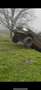 Land Rover Range Rover 2.5 td DSE - thumbnail 9